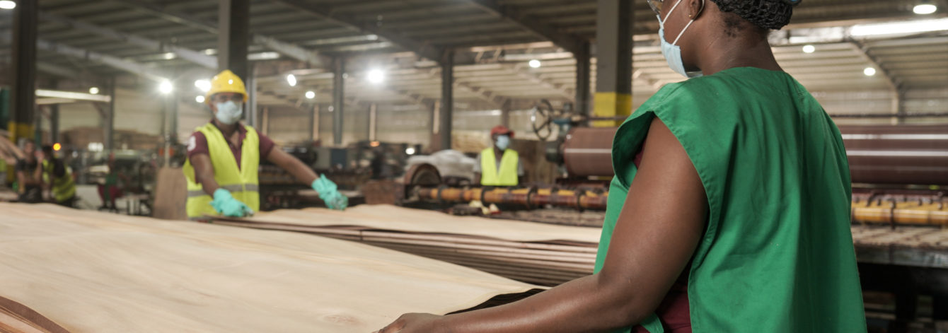 Plywood manufacturing at GSEZ NKOK