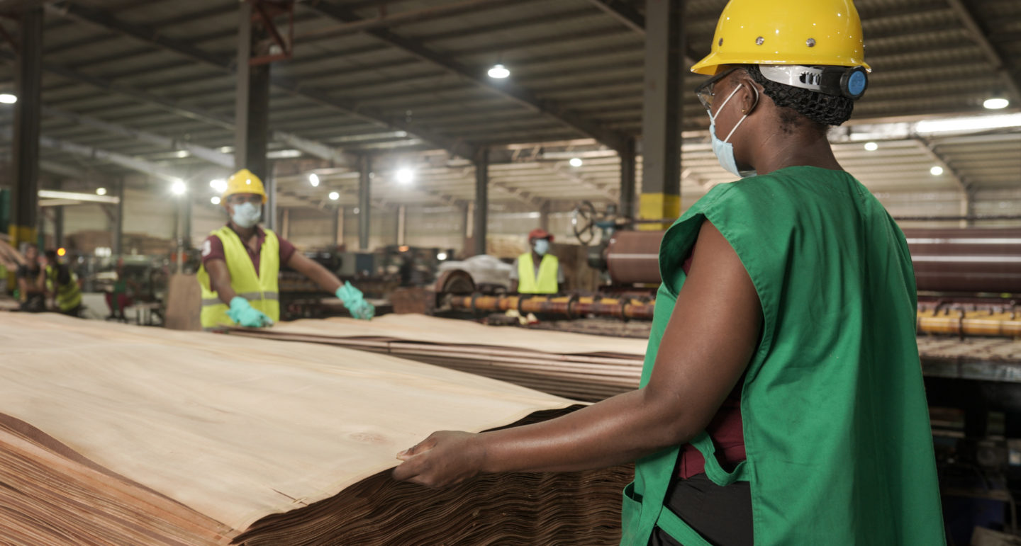 Plywood manufacturing at GSEZ NKOK