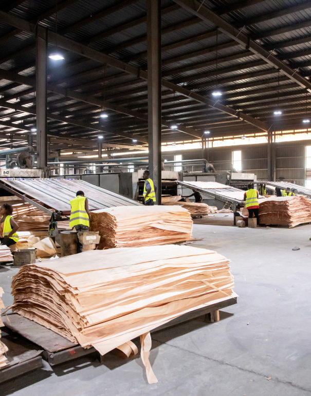 Wood processing at GSEZ NKOK