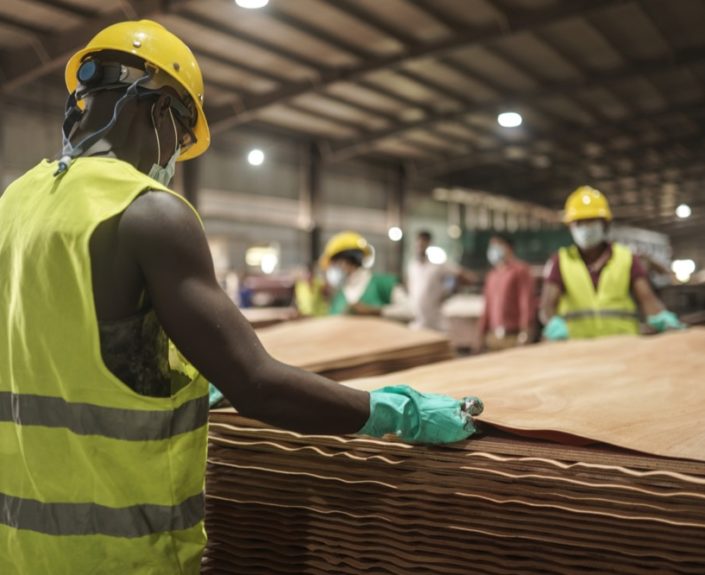 Industrialisation in Africa