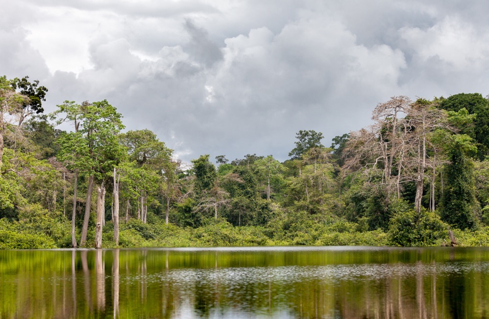 ARISE IIP Africa ecosystem sustainability in Gabon