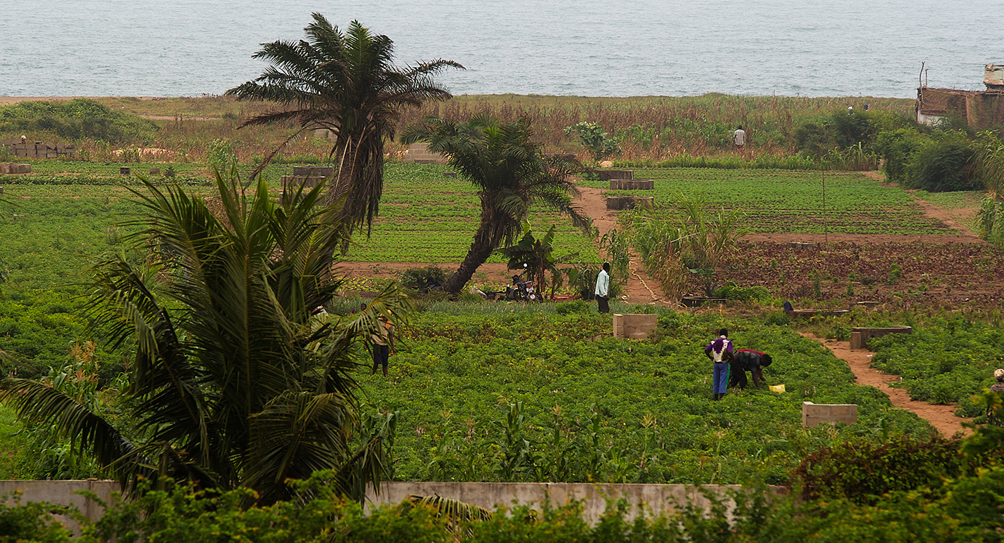 Togo agriculture