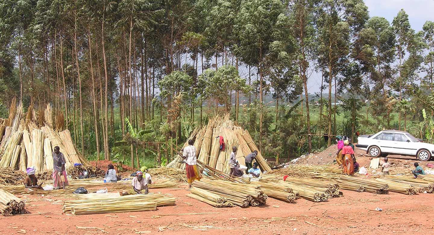 Togo natural resources