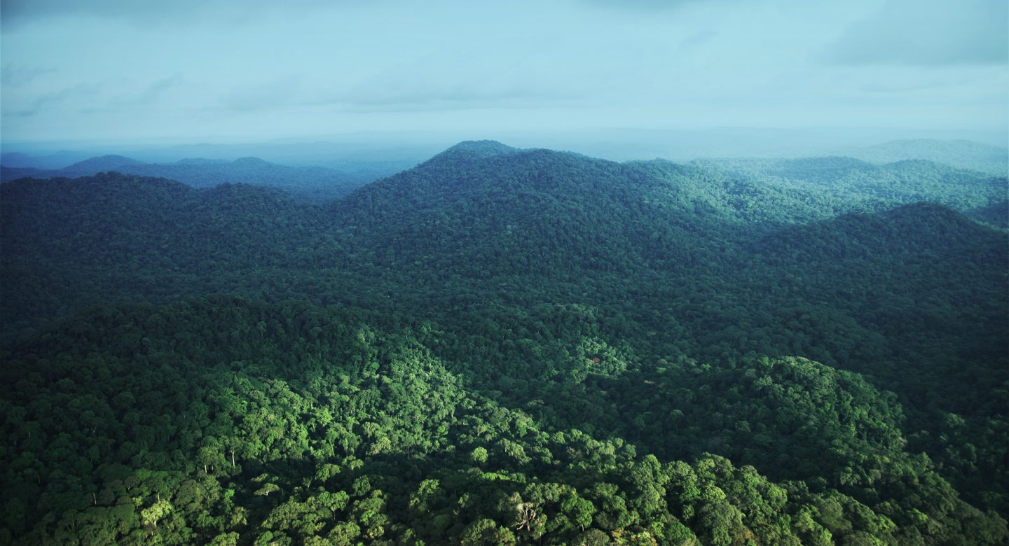 Gabon forests
